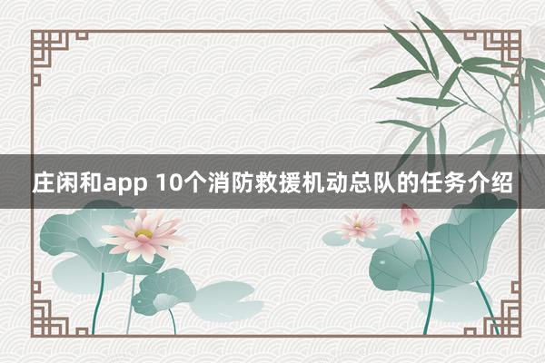 庄闲和app 10个消防救援机动总队的任务介绍