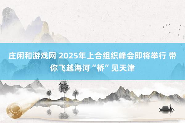 庄闲和游戏网 2025年上合组织峰会即将举行 带你飞越海河“桥”见天津
