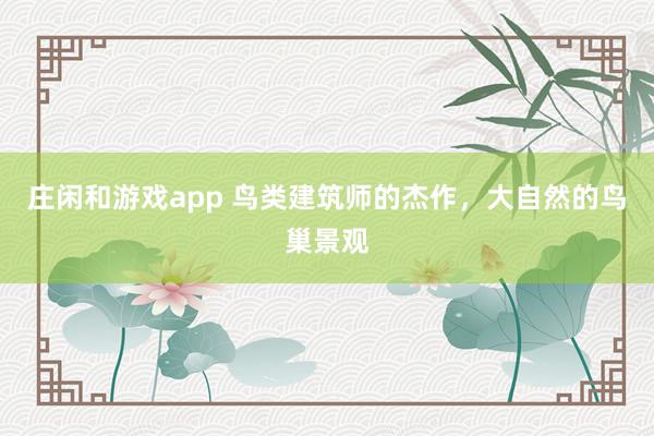 庄闲和游戏app 鸟类建筑师的杰作，大自然的鸟巢景观