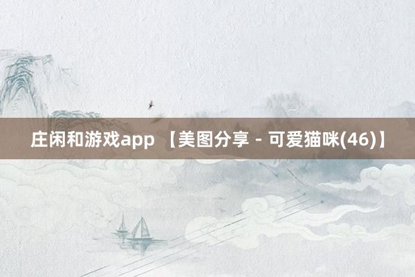 庄闲和游戏app 【美图分享 - 可爱猫咪(46)】