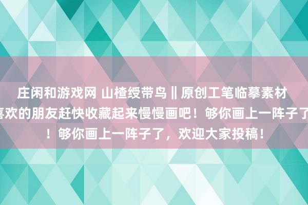 庄闲和游戏网 山楂绶带鸟‖原创工笔临摹素材 线稿底图分享‖喜欢的朋友赶快收藏起来慢慢画吧！够你画上一阵子了，欢迎大家投稿！