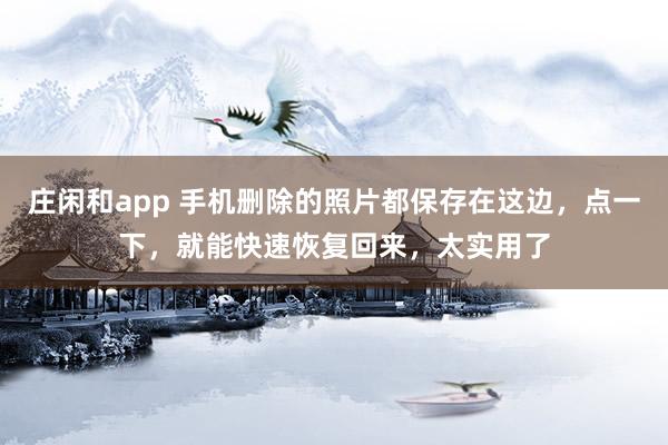 庄闲和app 手机删除的照片都保存在这边，点一下，就能快速恢复回来，太实用了