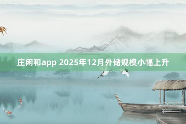 庄闲和app 2025年12月外储规模小幅上升
