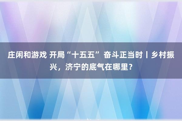 庄闲和游戏 开局“十五五” 奋斗正当时丨乡村振兴，济宁的底气在哪里？