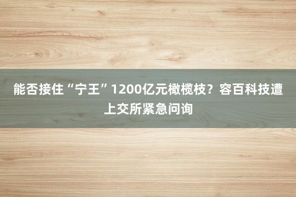 能否接住“宁王”1200亿元橄榄枝？容百科技遭上交所紧急问询