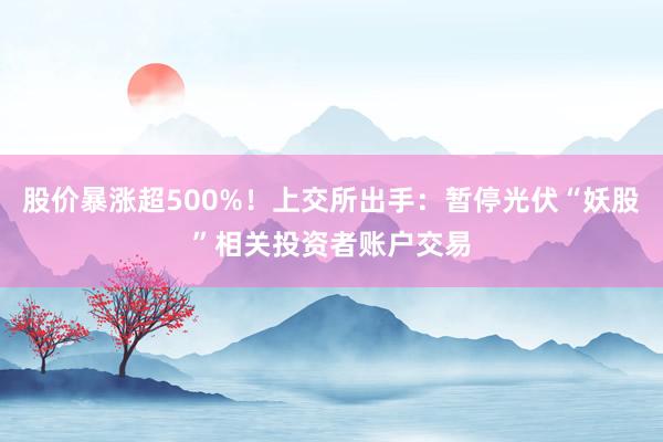 股价暴涨超500%！上交所出手：暂停光伏“妖股”相关投资者账户交易