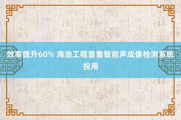 效率提升60% 海油工程首套智能声成像检测系统投用