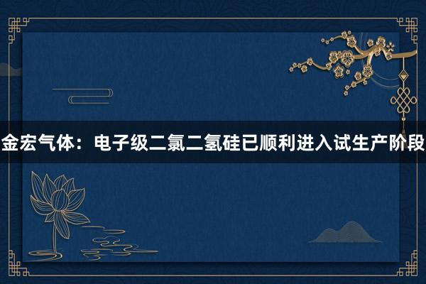金宏气体：电子级二氯二氢硅已顺利进入试生产阶段