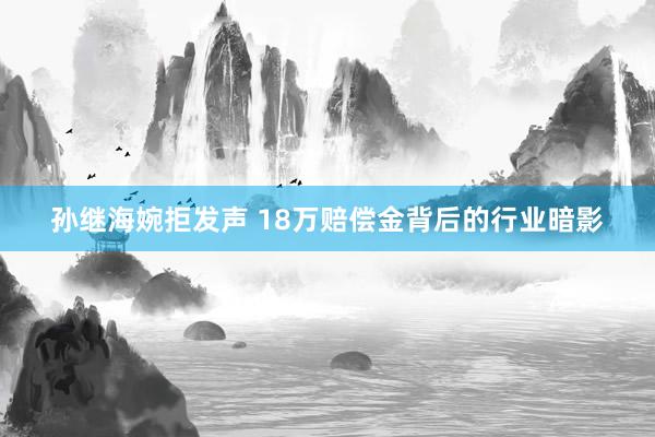孙继海婉拒发声 18万赔偿金背后的行业暗影