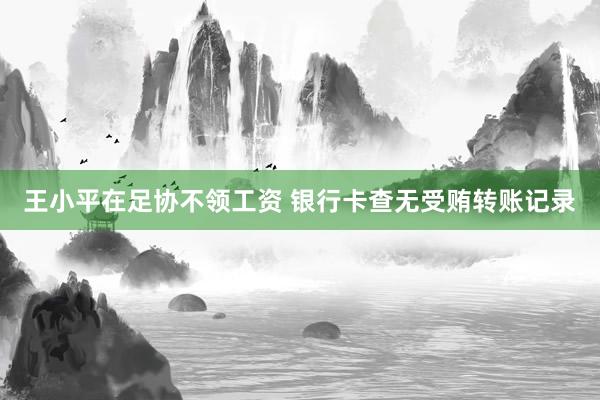 王小平在足协不领工资 银行卡查无受贿转账记录