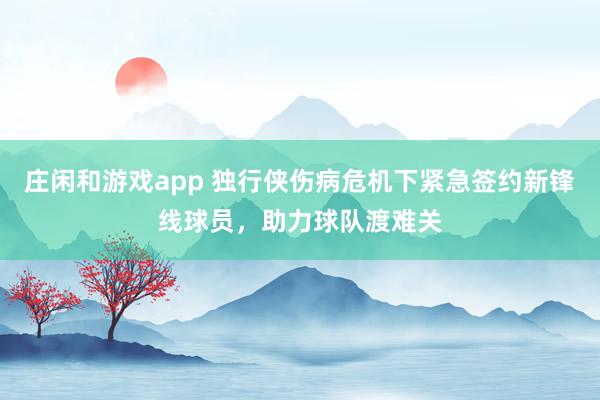 庄闲和游戏app 独行侠伤病危机下紧急签约新锋线球员,助力球队渡难关