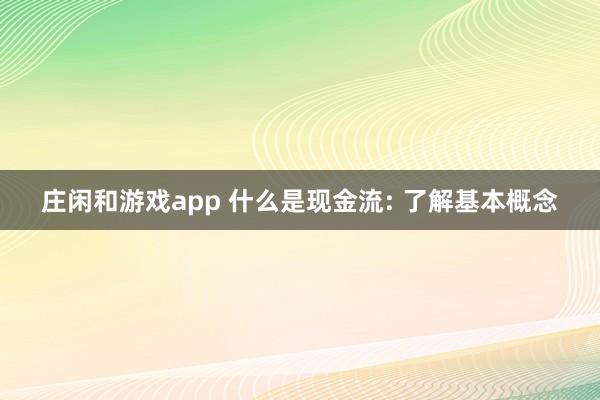 庄闲和游戏app 什么是现金流: 了解基本概念