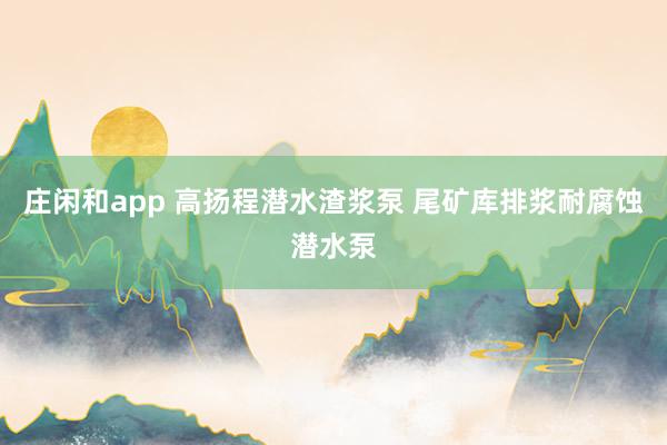 庄闲和app 高扬程潜水渣浆泵 尾矿库排浆耐腐蚀潜水泵