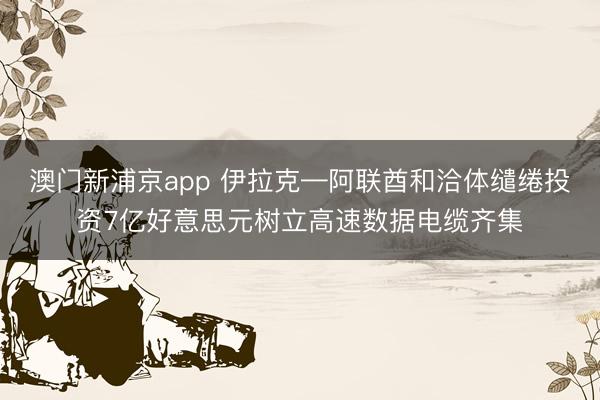 澳门新浦京app 伊拉克—阿联酋和洽体缱绻投资7亿好意思元树立高速数据电缆齐集