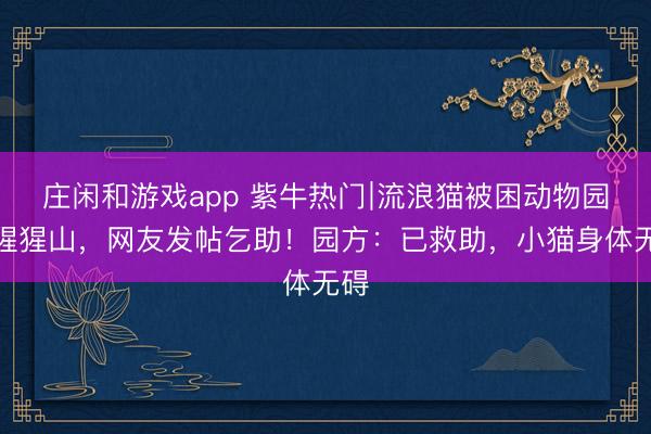 庄闲和游戏app 紫牛热门∣流浪猫被困动物园红猩猩山，网友发帖乞助！园方：已救助，小猫身体无碍
